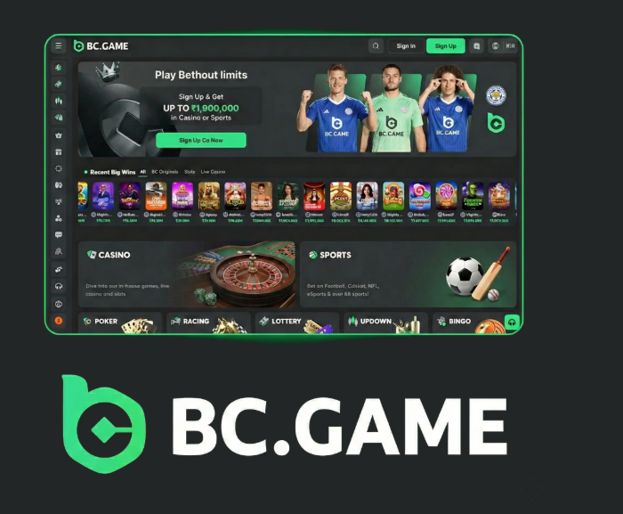 Complete Guide to BC.Game Mirror Registration Process -281273151